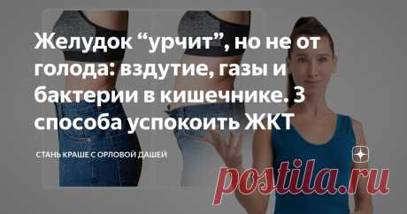 Желудок “урчит”, но не от голода: вздутие, газы и бактерии в кишечнике. 3 способа успокоить ЖКТ Статья автора «Стань краше с Орловой Дашей» в Дзене ✍: Слышали, что растянутый газами кишечник может достигать объемов 5 литровой канистры?
