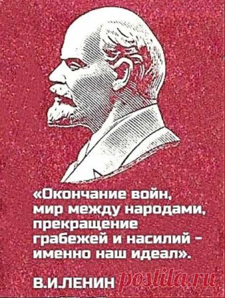 i (339×450)