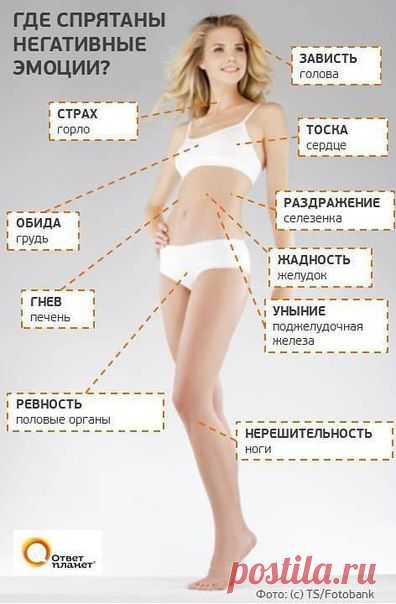 Таблица сообщений от нашего тела