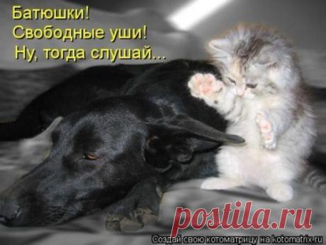 Служба доверия.