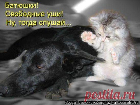 Служба доверия.