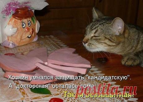 Интересные новости
