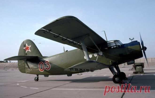 Почему Россия тридцать лет не может найти замену Ан-2 — и сможет ли вообще? — Naked Science