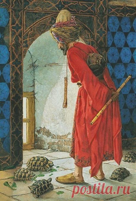 The Tortoise trainer / Дрессировщик черепах