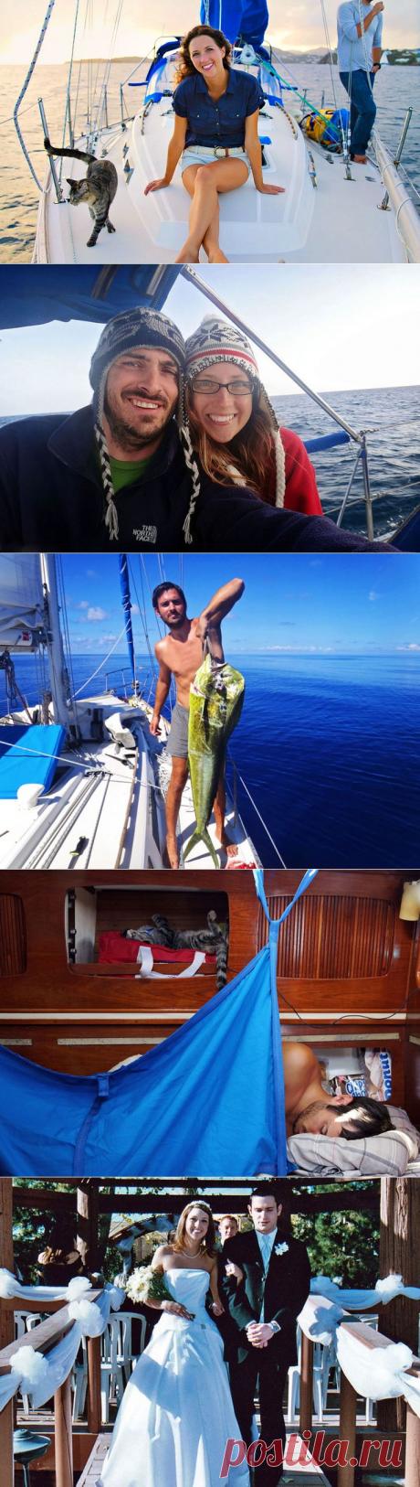 Эти двое все бросили и отправились путешествовать — со своей кошкой | Все о наших питомцах