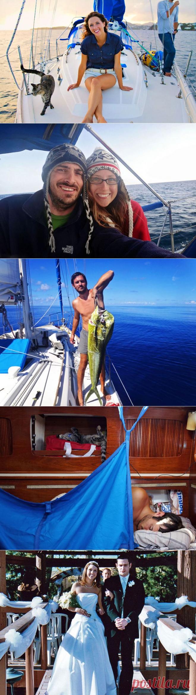 Эти двое все бросили и отправились путешествовать — со своей кошкой | Все о наших питомцах