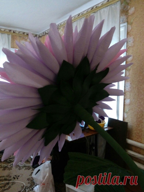 Мастер-классы. Цветы из бумаги. Фотозоны. МК