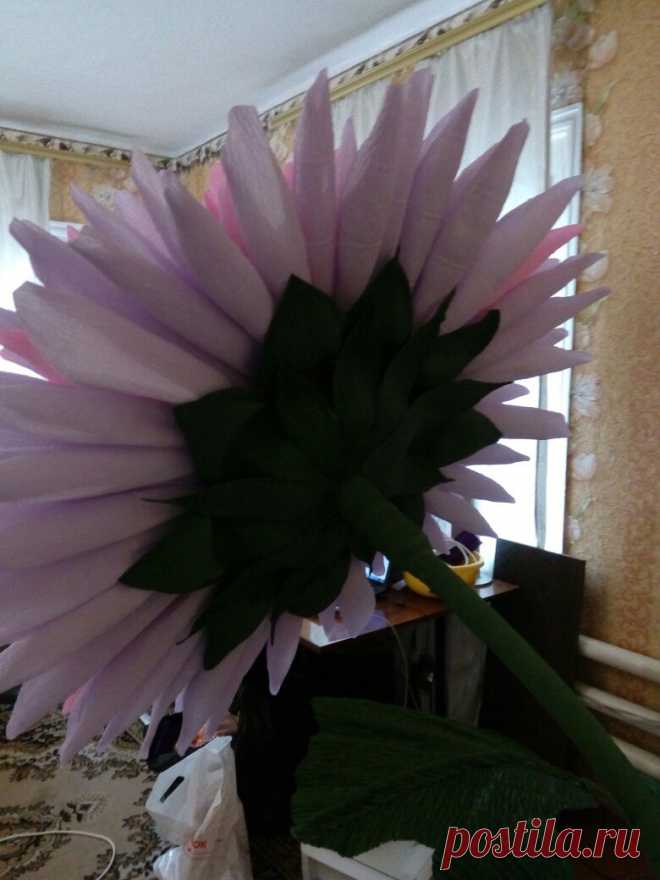 Мастер-классы. Цветы из бумаги. Фотозоны. МК