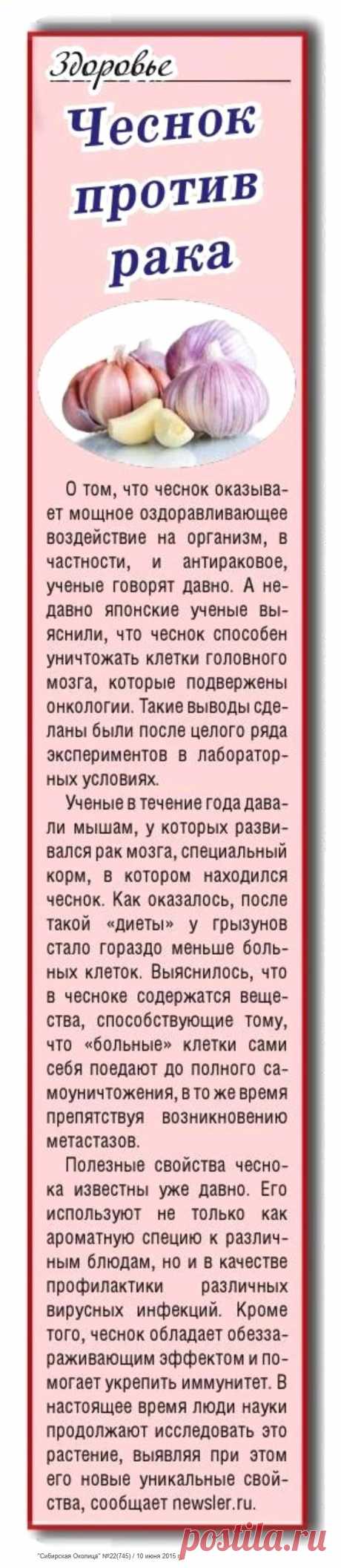 Чеснок против рака
