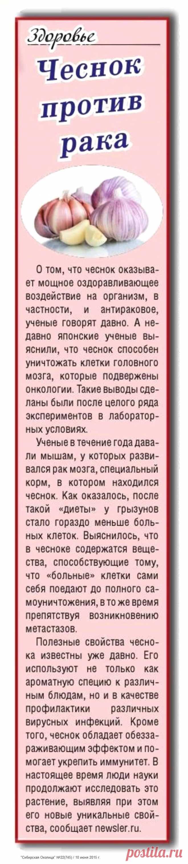 Чеснок против рака