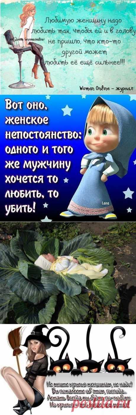 юмор | Записи в рубрике юмор | Дневник Байкалочка_10