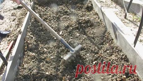 СИДЕРАТЫ .СЕЕМ ОСЕНЬЮ и ранней ВЕСНОЙ сидераты-горчицу. Для плодородия земли.SED