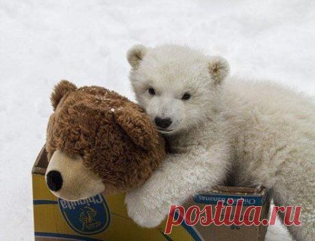 Доброе утро!