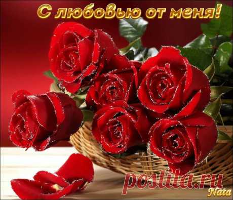 С ЛЮБОВЬЮ ОТ МЕНЯ !!!
