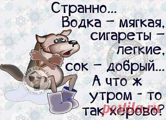 (210) Pinterest