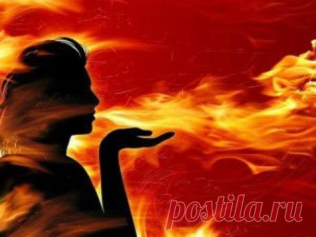 ОЛЕАНДР: КОВАРСТВО ИЛИ ЛЮБОВЬ?