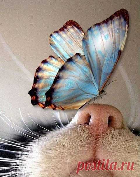 Интересные новости