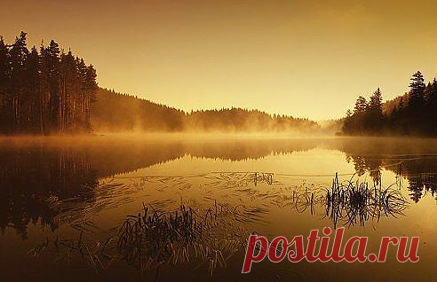 (30) Однокласники