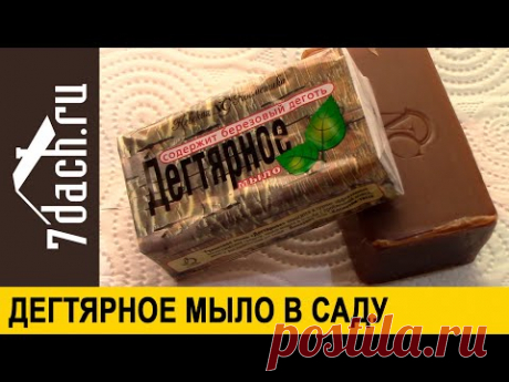 🐛 Защищаем растения с помощью дегтярного мыла. Используем дома и в саду - 7 дач