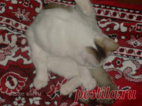 привожу хвостик в порядок