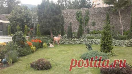 Наши работы — Landscape.kz, ландшафтный дизайн в Алматы,садовник в Алматы, альпийские горки, водоемы в Алматы, пруды в Алматы, газоны в Алматы, водопады в Алматы, поливочная система в Алматы, ландшафтное проектирование в Алматы, сады на крыше в Алматы, новогоднее оформление в Алматы, хвойные лиственные крупномеры в Алматы.