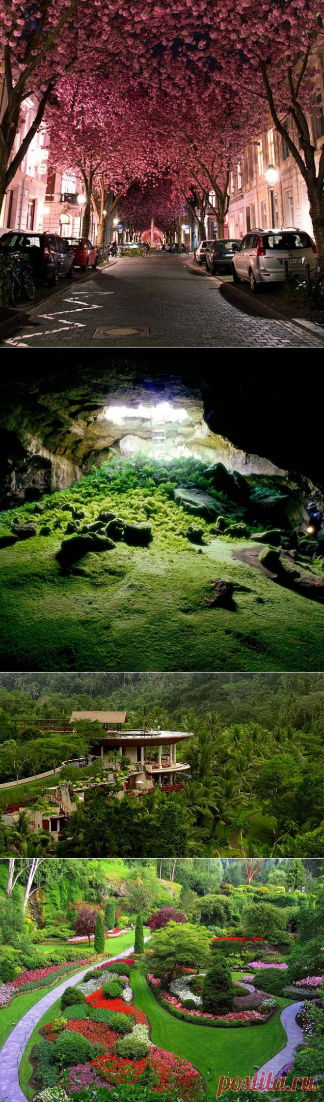 The Cool Hunter - Getting Back To Nature
удивительные места природы.