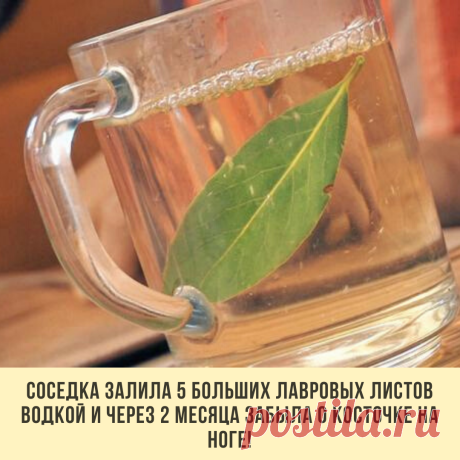 СОСЕДКА ЗАЛИЛА 5 БОЛЬШИХ ЛАВРОВЫХ ЛИСТОВ ВОДКОЙ И ЧЕРЕЗ 2 МЕСЯЦА ЗАБЫЛА О КОСТОЧКЕ НА НОГЕ!