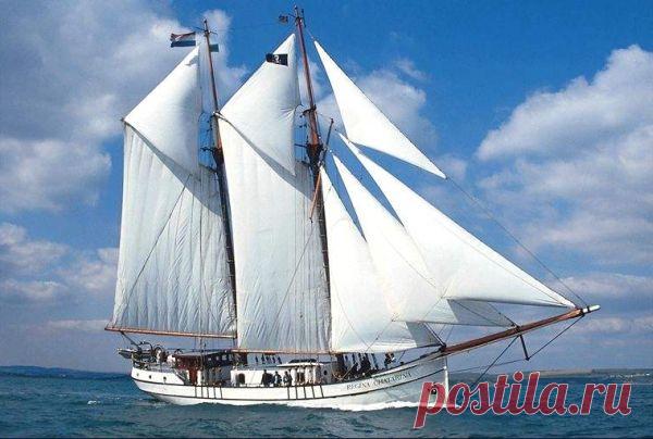 корабли и парусники. - Поиск в Google