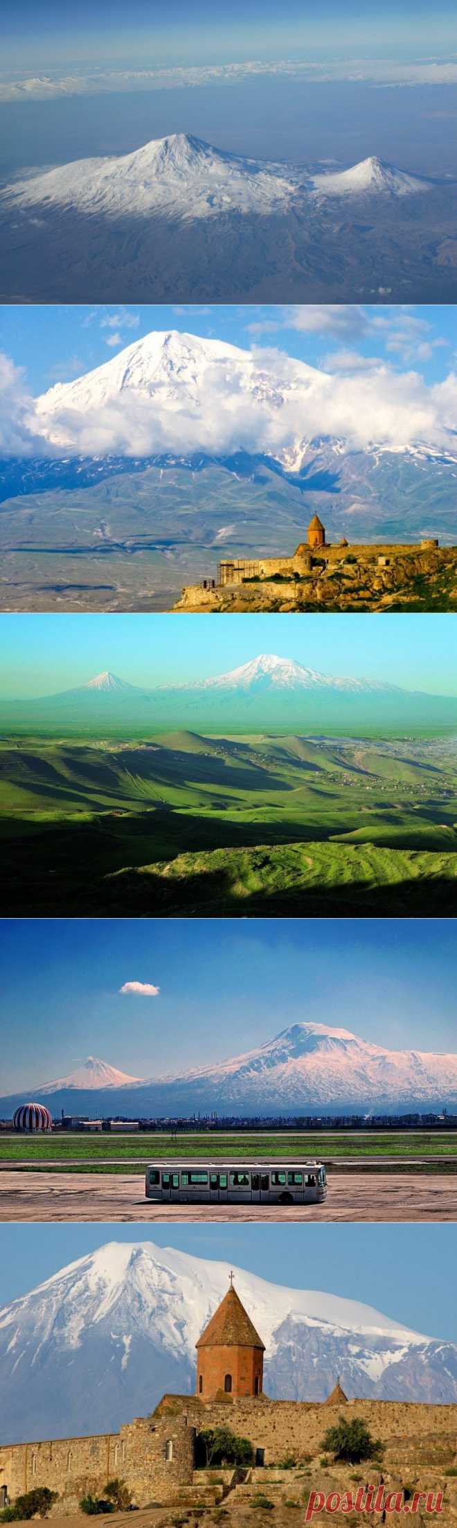 Пристанище для Ноева ковчега / Туристический спутник