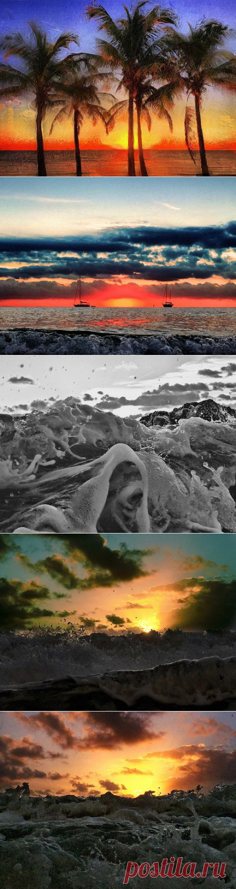 Photostream Энди Ройстон / Форт Лодердейл Солнца: Flickr