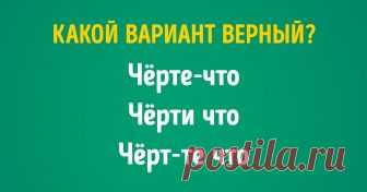 Тест: Точно ли вы знаете, как правильно пишутся эти слова? «Петербургский» или «петербуржский»? Можно ли писать «прийдет» и «придти»? Как правильно: «скрепя сердце» или «скрепя сердцем»? В русском языке много слов и выражений, порой способных пошатнуть уверенность в каждом из нас. Поэтому нужно почаще освежать в памяти правила орфографии, чтобы не совершать ошибок.
