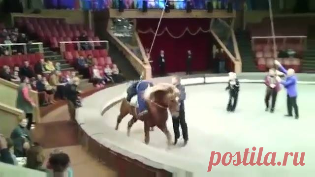 Все хорошо - Хроника