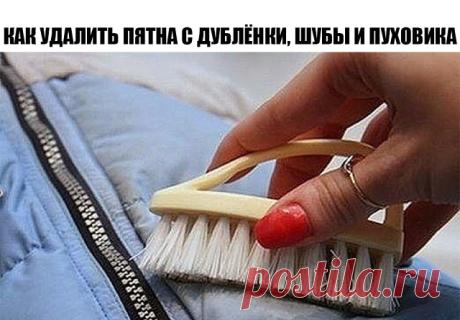 (11) Одноклассники