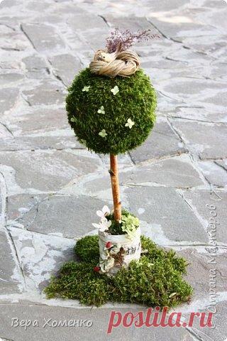 Весеннее дерево из мха Пришла весна,хочется ей немного помочь,сделать зеленый дом для птичьего гнездышка.