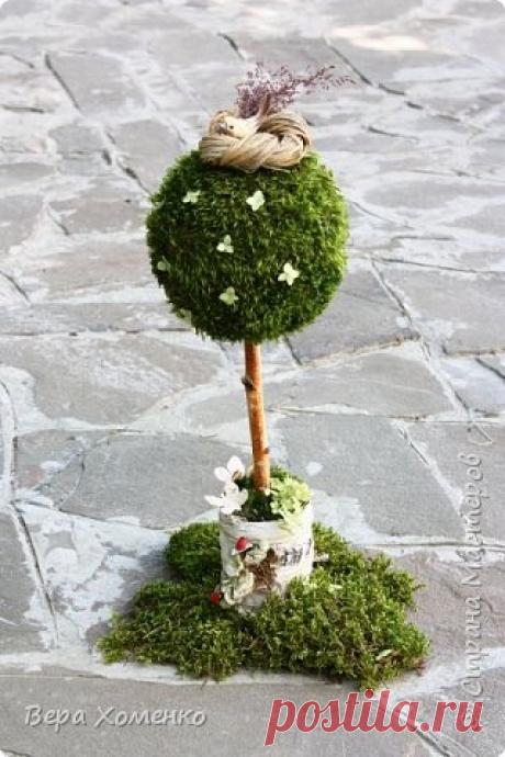 Весеннее дерево из мха Пришла весна,хочется ей немного помочь,сделать зеленый дом для птичьего гнездышка.