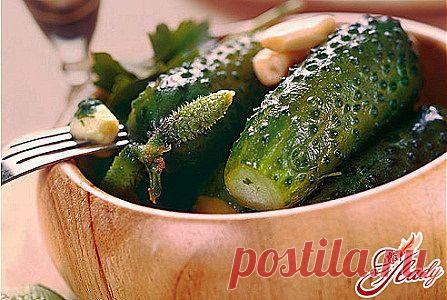 Огурцы малосолёные | БУДЕТ ВКУСНО!