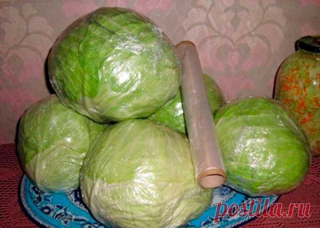 Дачные идеи
