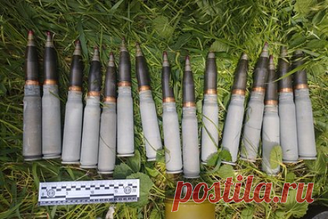 В Запорожской области полицейские нашли тайник с тысячей боеприпасов. В Запорожской области полицейские и росгвардейцы нашли тайник с тысячей боеприпасов. Силовики обнаружили схрон в районе села Славянка Михайловского района. Из него изъяли более тысячи боеприпасов, среди которых были патроны разного калибра, гранаты, выстрелы к подствольному и ручному гранатомету.