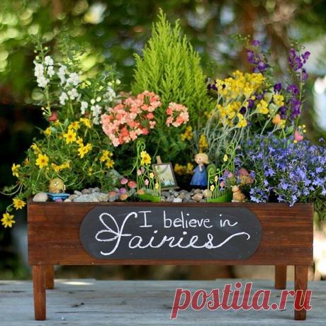Do YOU believe in fairies? I hope they bring spring very soon!
#provenwinners @gardenanswer #fairies #fairygarden #gardeningideas #springiscoming
