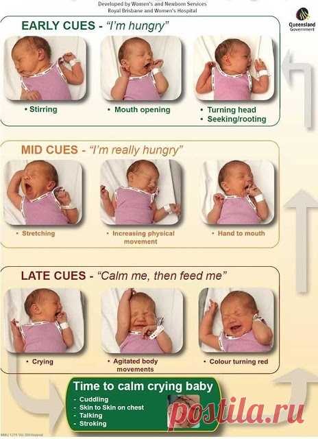 23 Incredibly Helpful Diagrams For Moms-To-Be