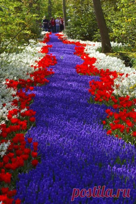 (585) Pinterest