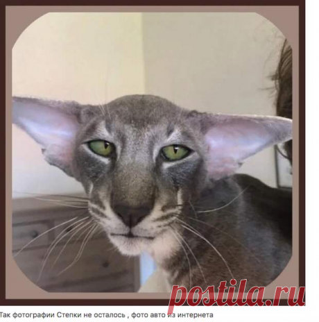 9 полудрагоценных камней, которые могут лечить - МирТесен