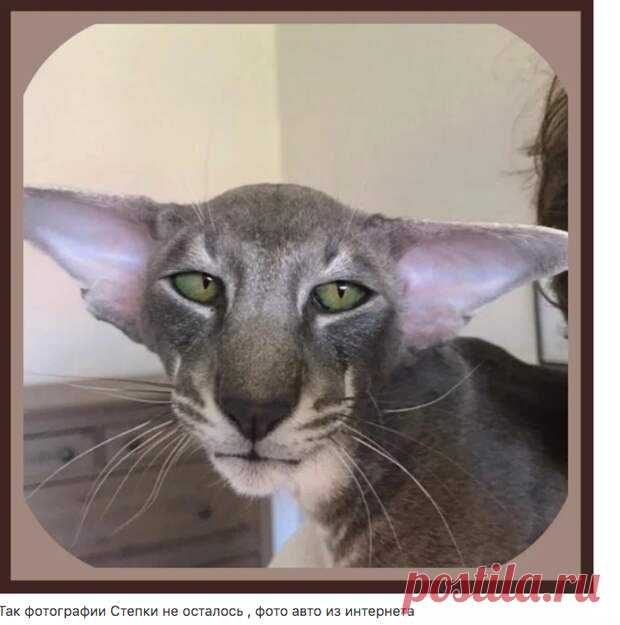 9 полудрагоценных камней, которые могут лечить - МирТесен