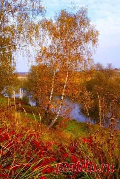 Красота природы ... Осень .﻿