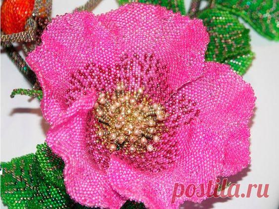 Pinterest (Пин) (941)