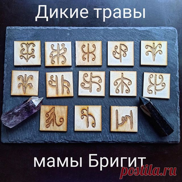 Дикие травы выполнены на березе, чудесный знахарский ряд мамы Бригит :
“1) восстановление/выравнивание гормонального фона (для травяных настоев внутрь)
2) восстановление энергообмена и энергобаланса ( для травяных настоев внутрь)
3) укрепление и подтяжка кожи, тонус мышц (крем для тела, соль для ванн, высадка растения)
4) правильная расшлаковка организма (для травяных настоев внутрь, слабительное)
5) витамины, поддержка истощенного тела (для травяных настоев внутрь, высадк...