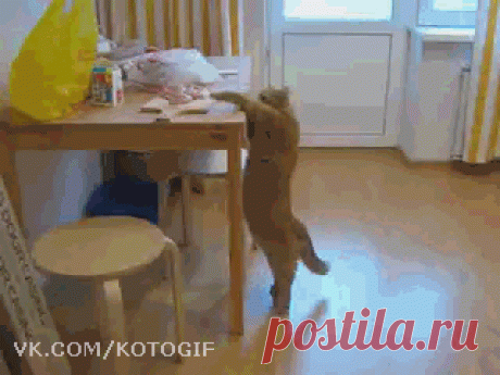 Свежая порция прикольных гифок. Приятного просмотра ;)