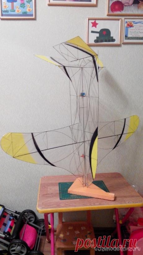 Приключения самолета «Бабочки» класса F3P После завершения первого карбонового проекта зального самолета. Пилот конструктор OLEGSS R, Новосибирск, задумал новый вариант зальной модели. Основная идея проекта в упрочнении конструкции путем создания напряжения элементов и его взаимной компенсации.Цитата Аврора по идее этих