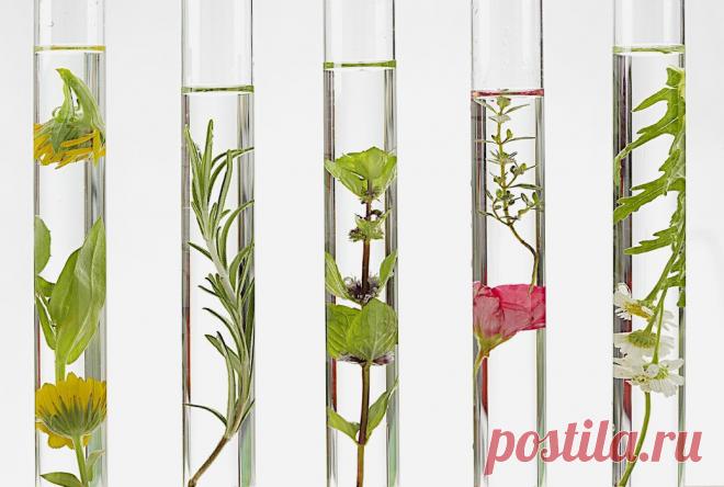 Парфюмерия, пробуждающая чувственность — Wonderzine