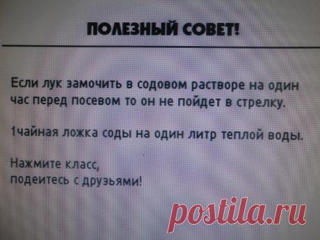 Одноклассники